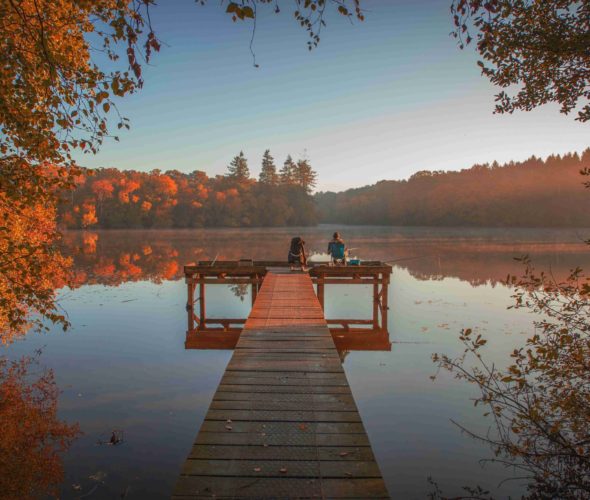 L’automne dans le Pays de Vitré, côté nature