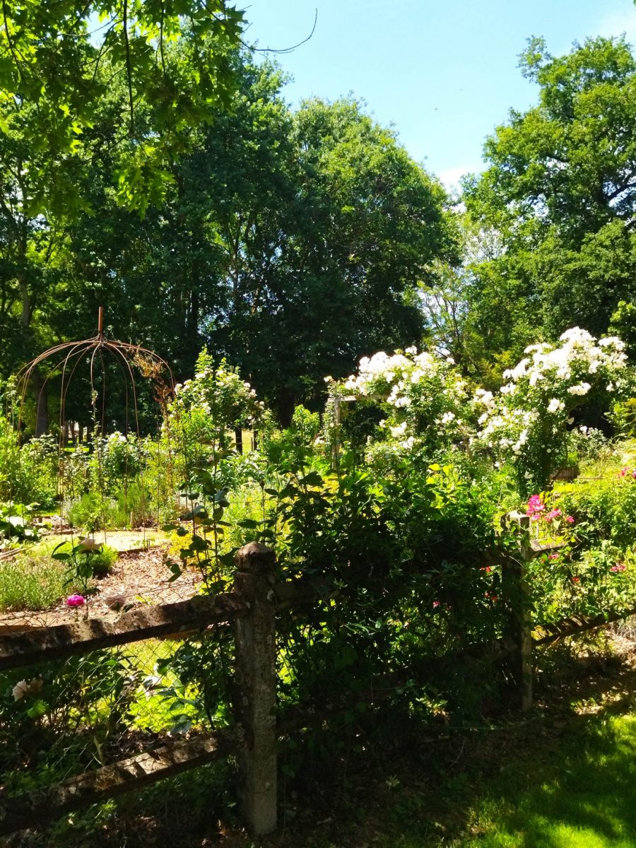 Jardin des arts