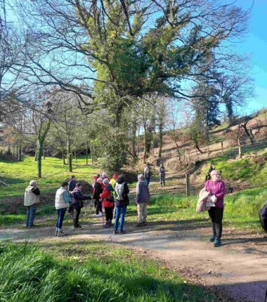 Les Randonnées de l’Office de Tourisme