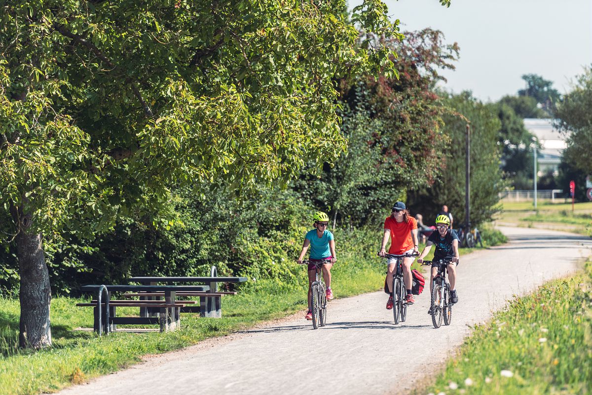Circuit velo nantes best sale