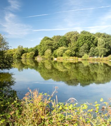 Immersion en pleine nature bretonne