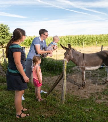Visites chez les Producteurs