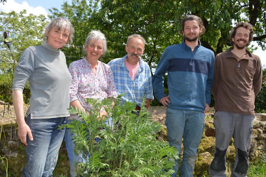 Les Poiriers sous Geslin