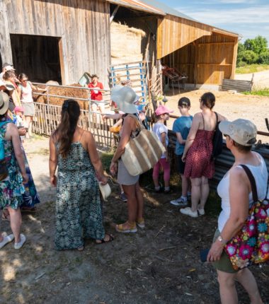 Visites d’artisans locaux
