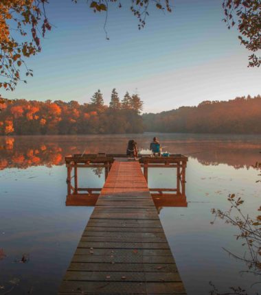 Forêt de la Corbière