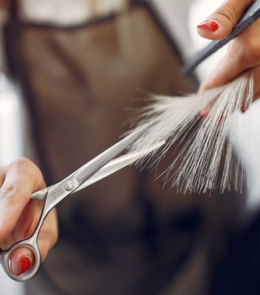 Salons de coiffure et bien-être