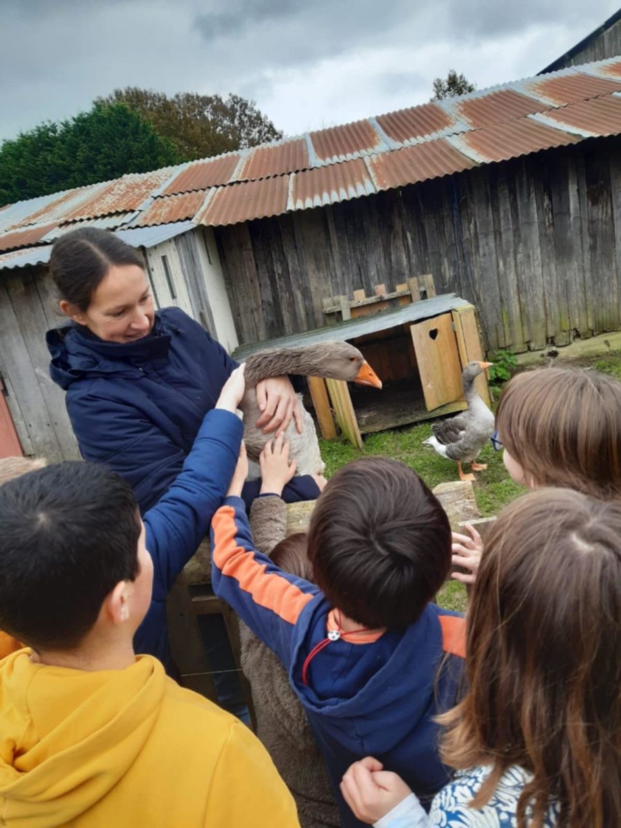 La Ferme des Ani'mots ©Yannick Fouré