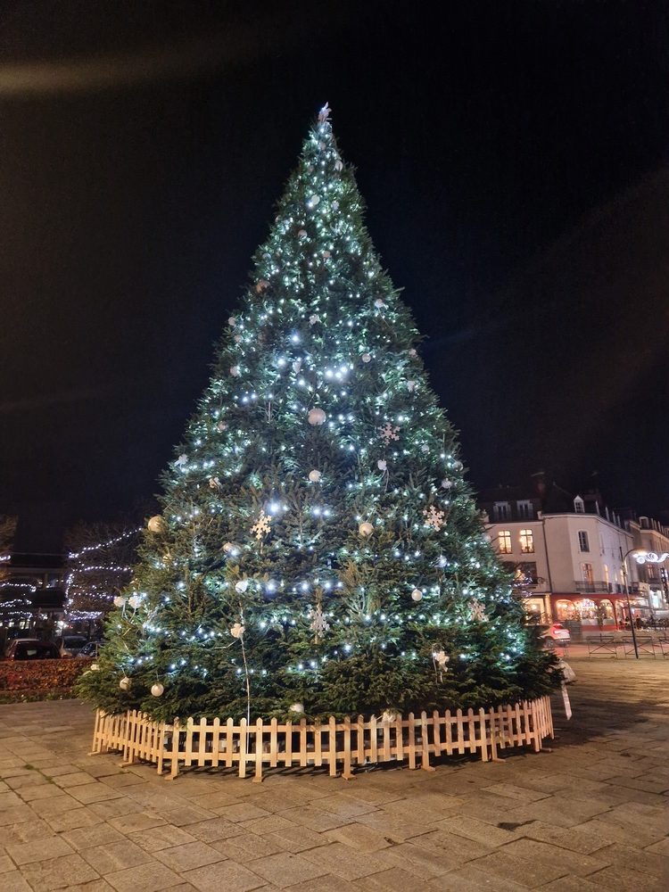 Sapin de Noël Vitré ©Office de tourisme du Pays de Vitré