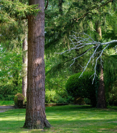 La cité des Sculpteurs et le Jardin des Arts à Châteaubourg