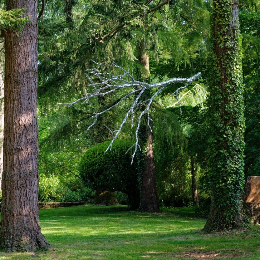 Jardin des arts 2026 Cardon & Dupuis