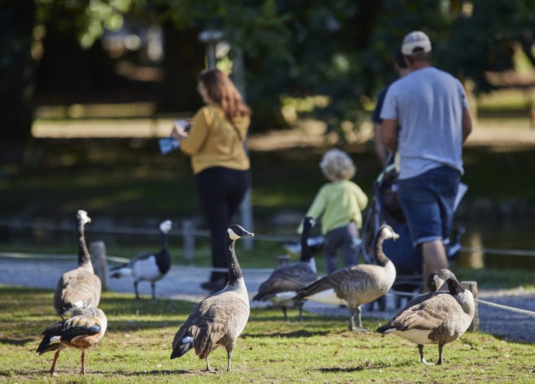 Parc animalier de Branféré