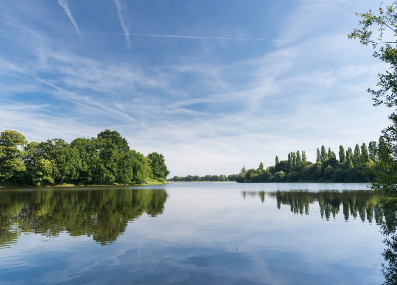 © Emmanuel Berthier L’étang de Châtillon-en-Vendelais