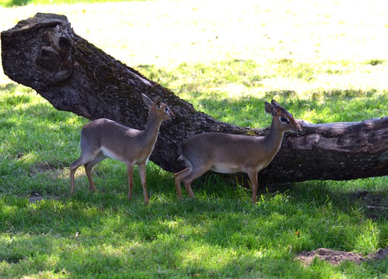 Château et Parc zoologique de la Bourbansais