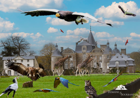 Château et Parc zoologique de la Bourbansais