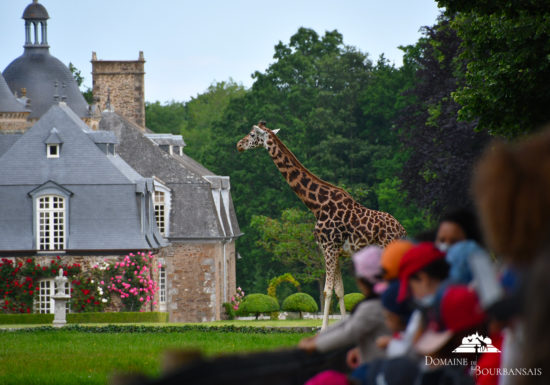 Château et Parc zoologique de la Bourbansais