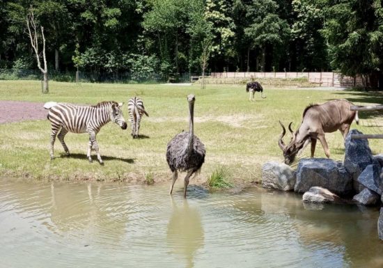 Château et Parc zoologique de la Bourbansais