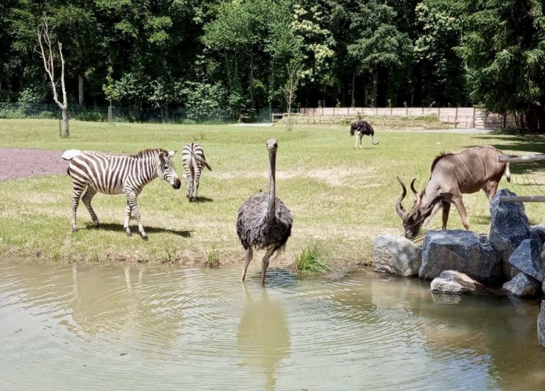 Château et Parc zoologique de la Bourbansais
