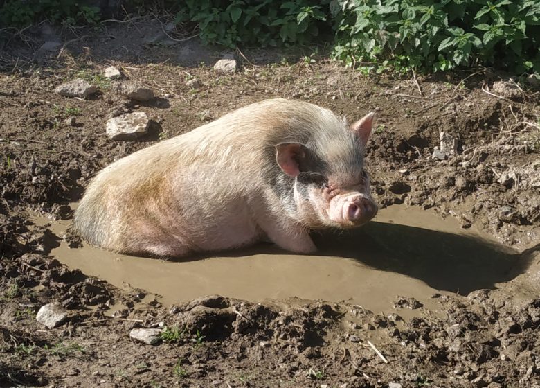 © L'arche de Ma nature L’arche de Ma nature