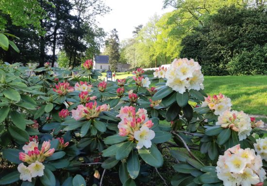 Parc du Domaine du Bois Cornillé