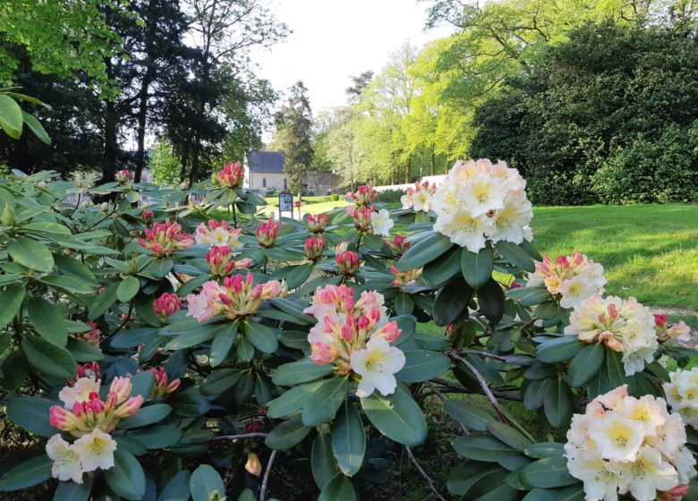 Parc du Domaine du Bois Cornillé