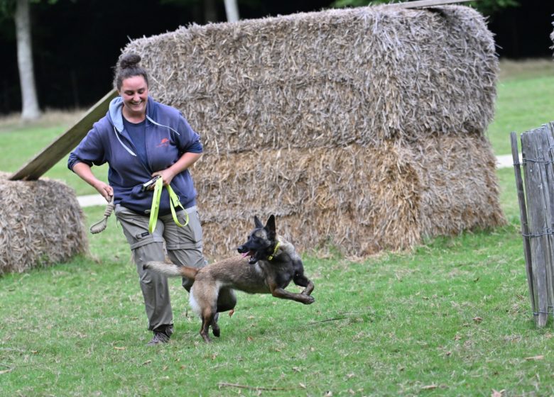 Château et Parc zoologique de la Bourbansais