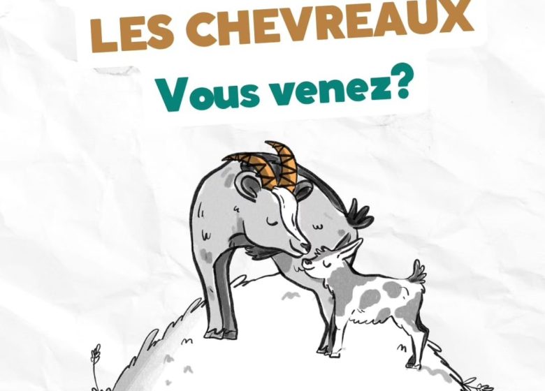 Rencontre avec les chevreaux