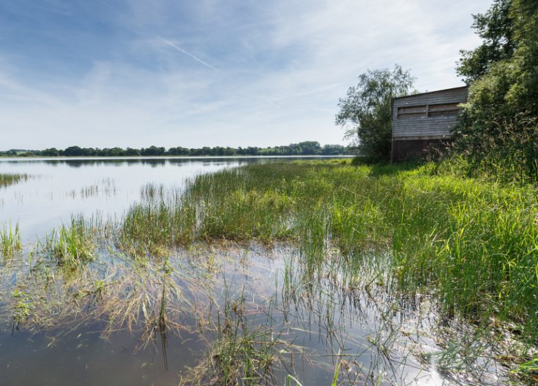 The pond of Châtillon-en-Vendelais