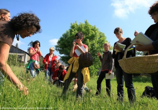 Atelier « cueillette et cuisine sauvage »