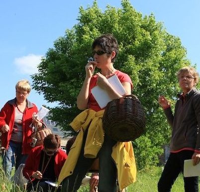 Atelier « cueillette et cuisine sauvage »
