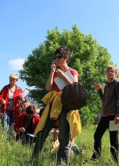 Workshop „Wildes Sammeln und Kochen“.