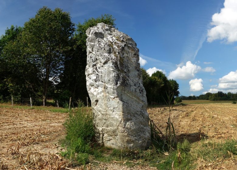 Menhir des Hautes Vallées