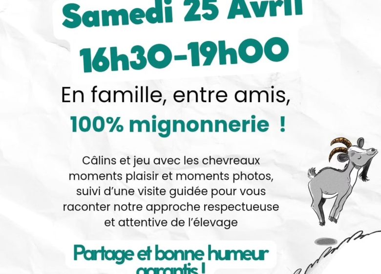 Rencontre avec les chevreaux