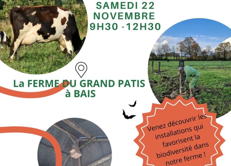 Atelier biodiversité et visite de la ferme