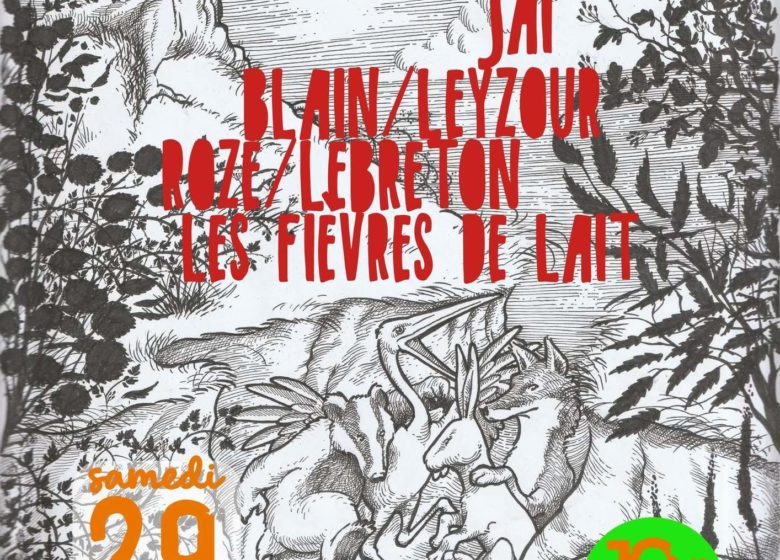 Bal à Bais ! | Fest-Noz des duos à la ferme