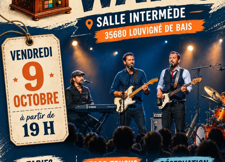 Concert de Mémé les Watts