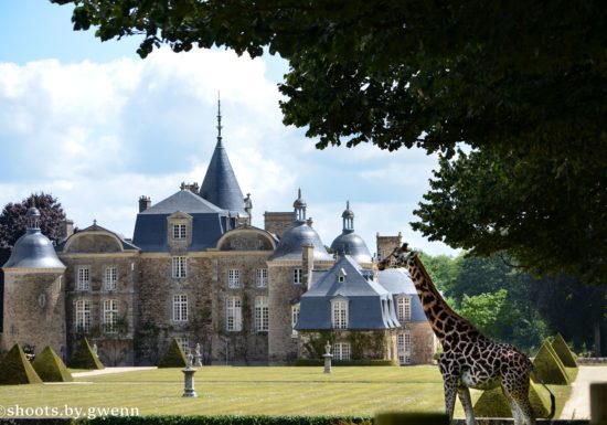 Château et Parc zoologique de la Bourbansais