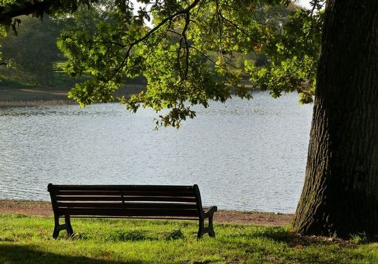 Châtillon-en-Vendelais Pond Trails – east bank