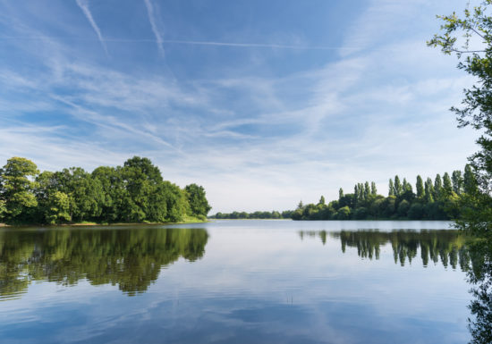 Sentiers accessible de l’Étang de Châtillon-en-Vendelais – rive ouest