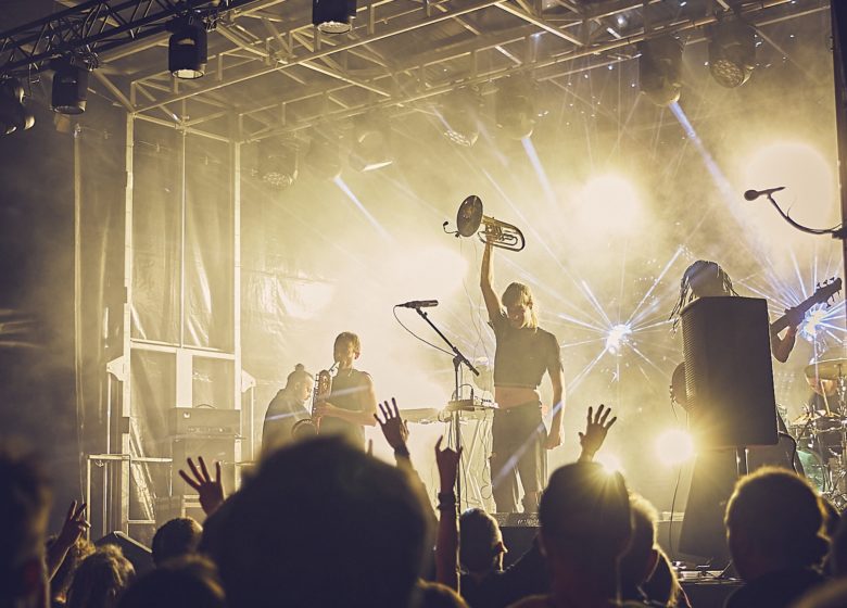 Festival Les Fanfarfelues