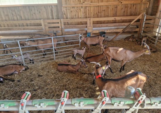 Visite guidée « Hermeillon Tour » (groupes)