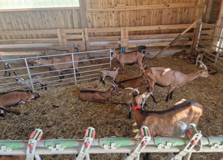 Visite guidée « Hermeillon Tour » (groupes)
