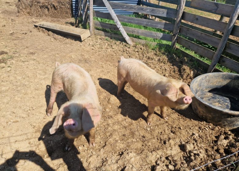 Visite guidée « Hermeillon Tour » (groupes)