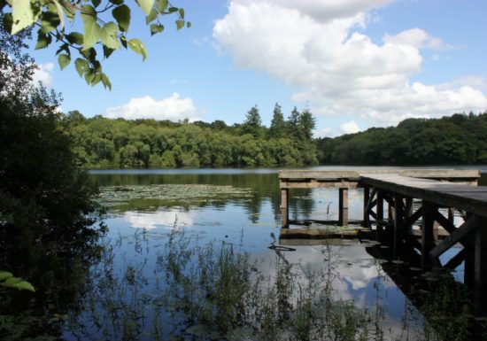 Sentier découverte de la forêt des Corbières