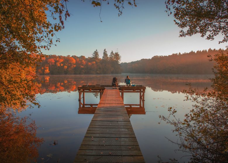 La forêt de la Corbière