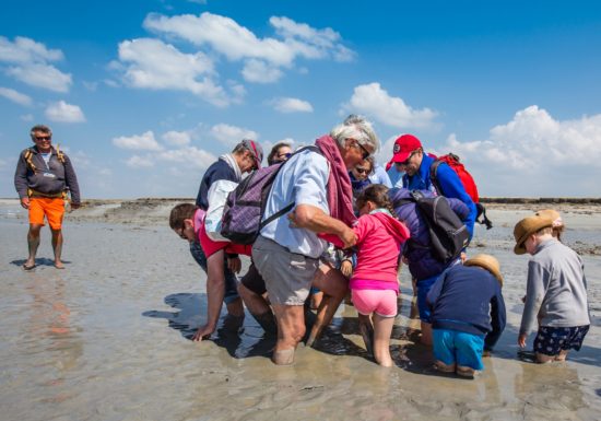 Chemins de la Baie du Mont-Saint-Michel