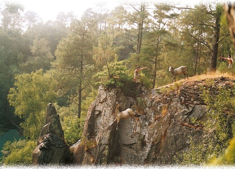 Park der Vorgeschichte der Bretagne