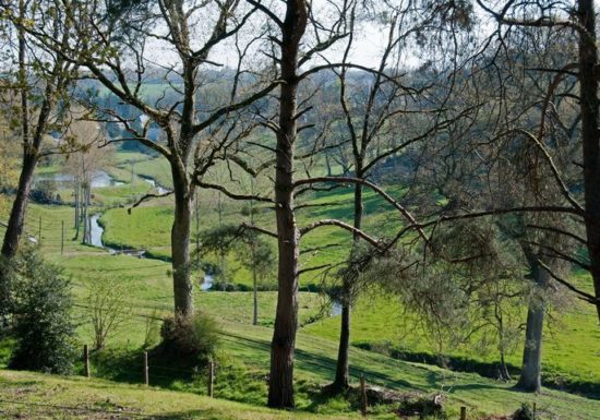 Circuit de la vallée du Palet n°14