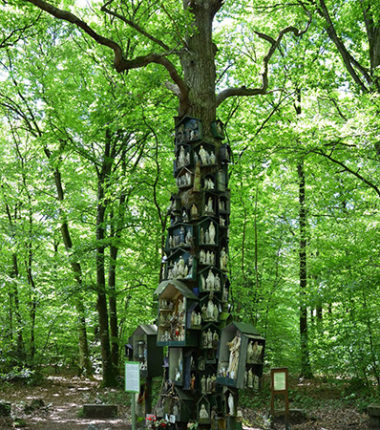 Le Chêne à la Vierge