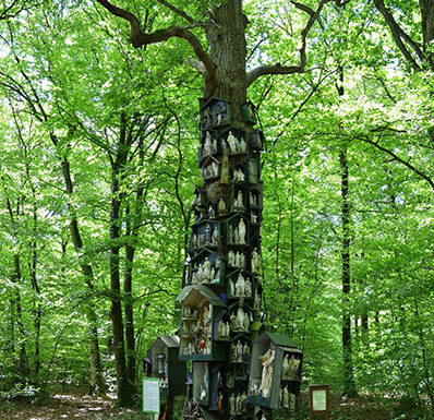 Le Chêne à la Vierge