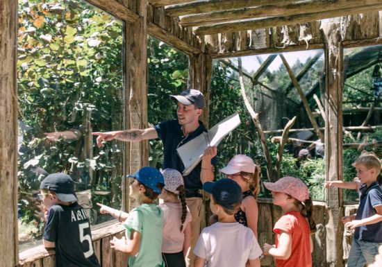 Château et Parc zoologique de la Bourbansais